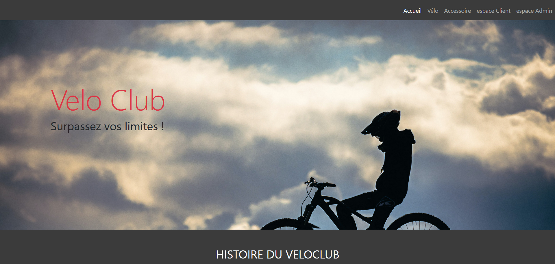 page accueil du site 